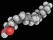 Arachidonic acid molecule