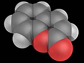 Coumarin molecule