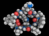Gramicidin S drug molecule
