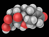 Hydrocortisone hormone molecule