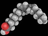 Linoleic acid molecule