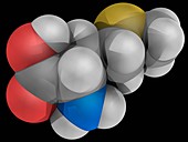 Methionine molecule