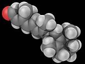 Retinal vitamin A molecule