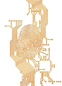 Biometric security,artwork