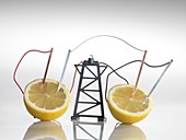 Electrical circuit with lemons