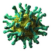 Poliovirus-receptor complex