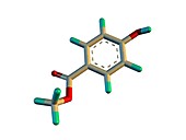Methylparaben molecule