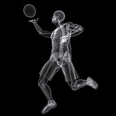 Basketball player,artwork