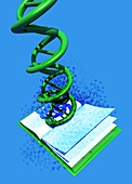 DNA data storage,conceptual artwork