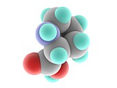 Proline molecule