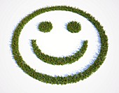 Grass smiley face,artwork