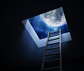 Ladder to the Moon,conceptual artwork