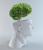 Tree-shaped brain,artwork