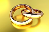 Entwined wedding rings,artwork