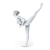 Ballet dancer,artwork
