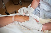 Nurse preparing a patient for an IV line