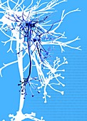 Neural network,conceptual artwork
