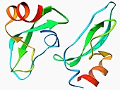 Amyloid precursor protein molecule