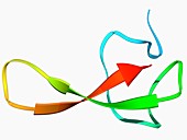 Funnel-web spider toxin molecule