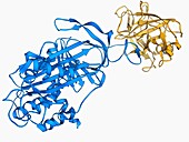Proteinase inhibitor molecule