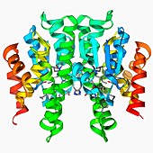 GST enzyme conferring DDT resistance