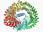 Importin heterodimer protein