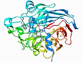 Retinal-producing oxygenase enzyme