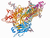 H5N1 Haemagglutinin protein subunit