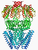 MscS ion channel protein structure