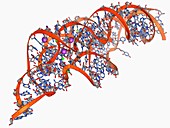 Metal-sensing RNA molecule