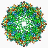 Chaperonin protein