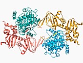 cAMP-dependent protein kinase molecule