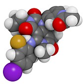 Trametinib melanoma cancer drug