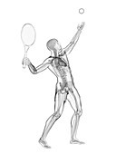 Tennis player,artwork