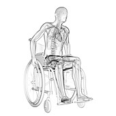 Man in a wheelchair,artwork