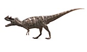 Ceratosaurus dinosaur,artwork