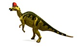 Hadrosaurus dinosaur,artwork