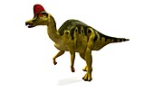 Hadrosaurus dinosaur,artwork