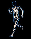 Running skeleton,artwork