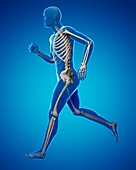 Running skeleton,artwork