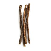 Liquorice Glycyrrhiza glabra root