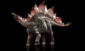 Stegosaurus dinosaur,artwork