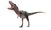 Tarbosaurus dinosaur,artwork