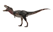 Tarbosaurus dinosaur,artwork