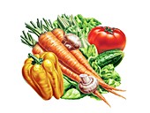Fresh fruit and vegetables,artwork