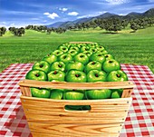 Crate of apples,artwork