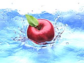 Apple splashing into water,artwork