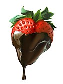 Chocolate-dipped strawberry,artwork