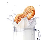 Milk and biscuits,artwork