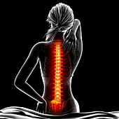 Back pain,artwork